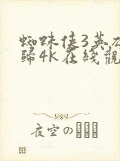 蜘蛛侠3英雄无归4k在线观看