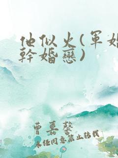 他似火(军婚高干婚恋)