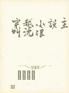 穿越小说主人公叫沈浪