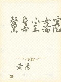 替身小女官,腹黑帝王沦陷了江清慈祁渊