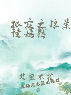 孤寂之狼叶凡司徒嫣然