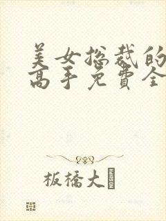 美女总裁的贴身高手免费全文阅读