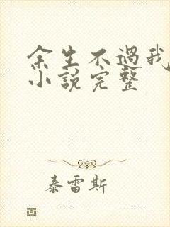 余生不过我爱你小说完整