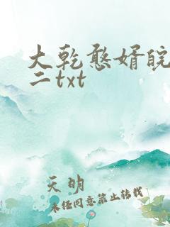 大乾憨婿皖南牛二txt