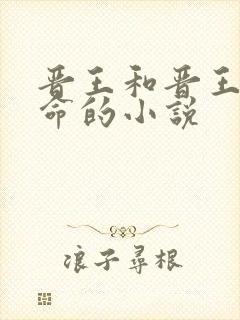 晋王和晋王妃算命的小说