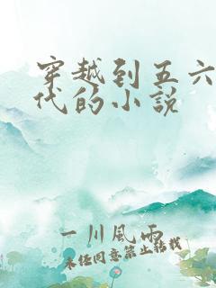 穿越到五六十年代的小说