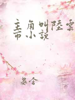 主角叫陆云的都市小说