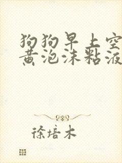 狗狗早上空腹吐黄泡沫粘液怎么办