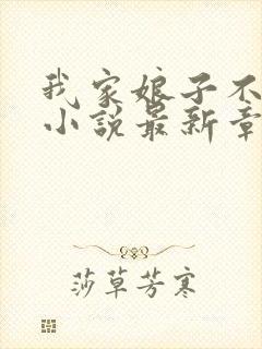 我家娘子不对劲小说最新章节