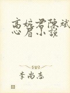 高婉君陈斌和赵心眉小说