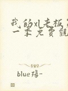 我的xl老板第一季免费观看全集