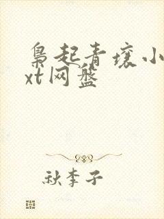 枭起青壤小说txt网盘