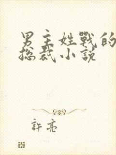 男主姓战的霸道总裁小说