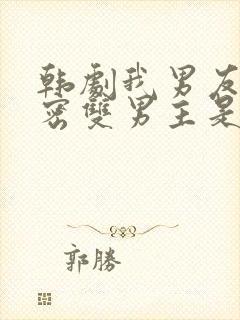 韩剧我男友的秘密双男主是谁