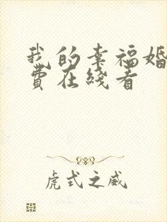 我的幸福婚约免费在线看