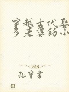 穿越古代娶了很多老婆的小说