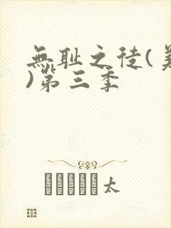 无耻之徒(美版)第三季