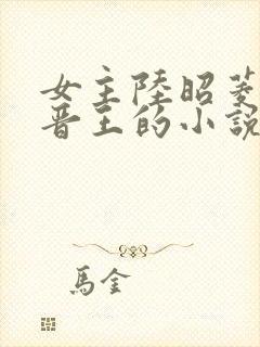 女主陆昭菱男主晋王的小说