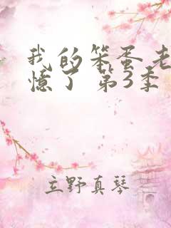 我的笨蛋老婆失忆了 第3季