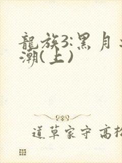 龙族3:黑月之潮(上)