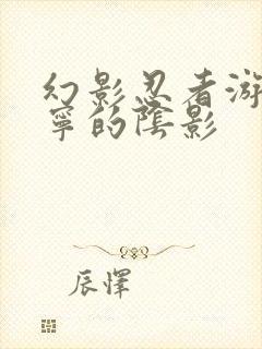 幻影忍者游戏罗宁的阴影