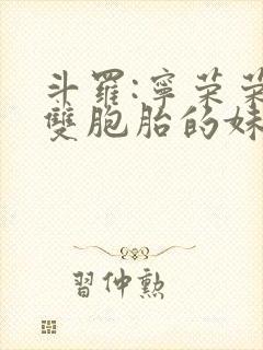 斗罗:宁荣荣的双胞胎的妹妹