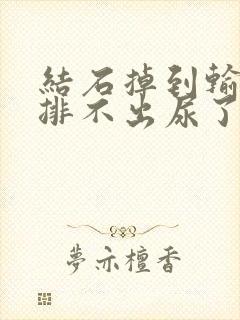 结石掉到输尿管排不出尿了怎么办