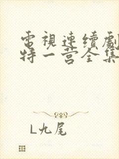 电视连续剧我的特一营全集完整版