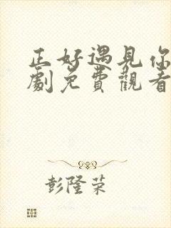 正好遇见你电视剧免费观看全集