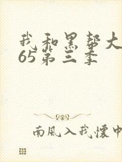 我和黑帮大佬365第三季