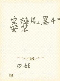 究极风暴4下载安装