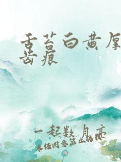 舌苔白黄厚腻有齿痕