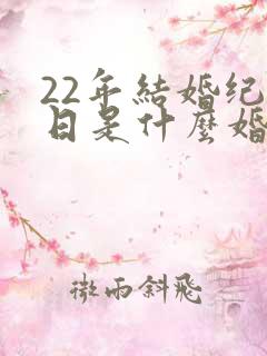22年结婚纪念日是什么婚