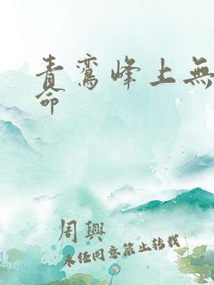 青鸾峰上无敌天命