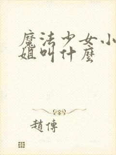 魔法少女小圆学姐叫什么