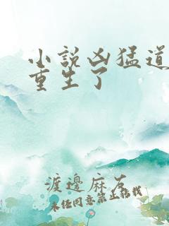 小说凶猛道侣也重生了