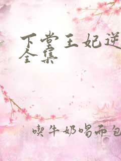 下堂王妃逆袭记全集