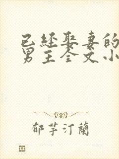 已经娶妻的失忆男主全文小说