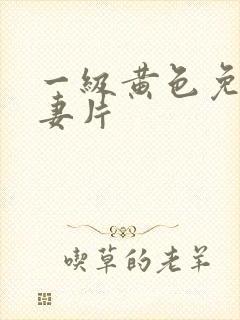 一级黄色免费夫妻片