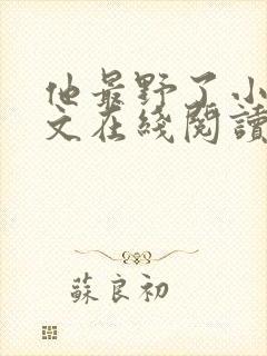 他最野了小说全文在线阅读