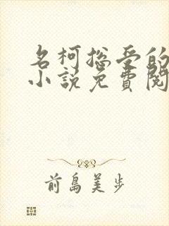 名柯总受的堕落小说免费阅读