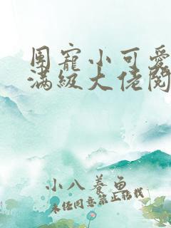 团宠小可爱成了满级大佬阅读