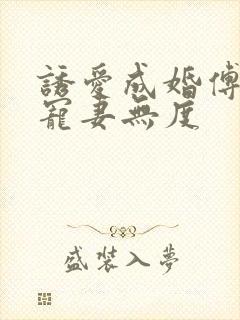 诱爱成婚傅先生宠妻无度