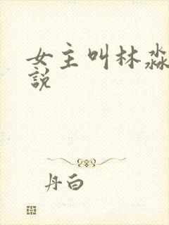 女主叫林淼的小说