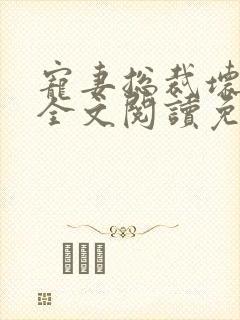 宠妻总裁坏透了全文阅读免费