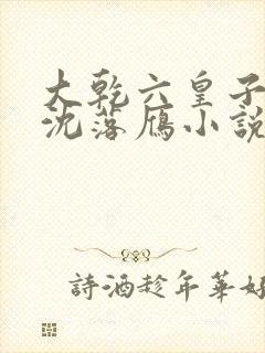 大乾六皇子云铮沈落雁小说