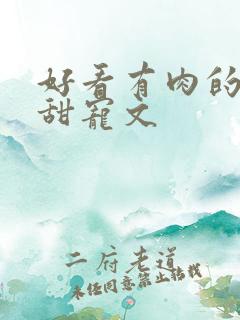 好看有肉的言情甜宠文