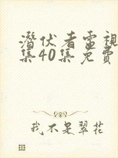 潜伏者电视剧全集40集免费观看谍战