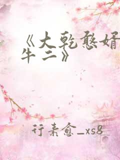 《大乾憨婿皖南牛二》