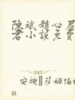 陈斌赵心眉高婉君小说免费阅读